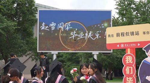 云南学校爆料视频大全,揭秘校园内幕