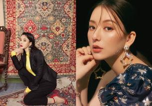 柳岩最新爆料娱乐圈,揭秘明星背后的真相与争议